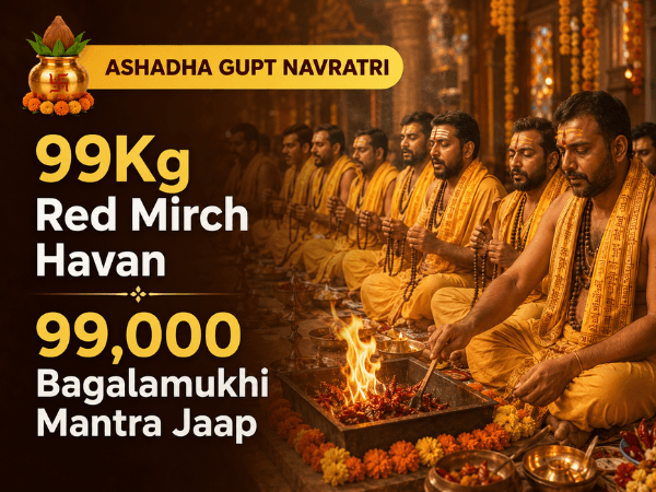 Blessings from Maa Bagalamukhi for Victory over Enemies and Successful outcomes in Legal Case